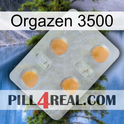Orgazen 3500 24